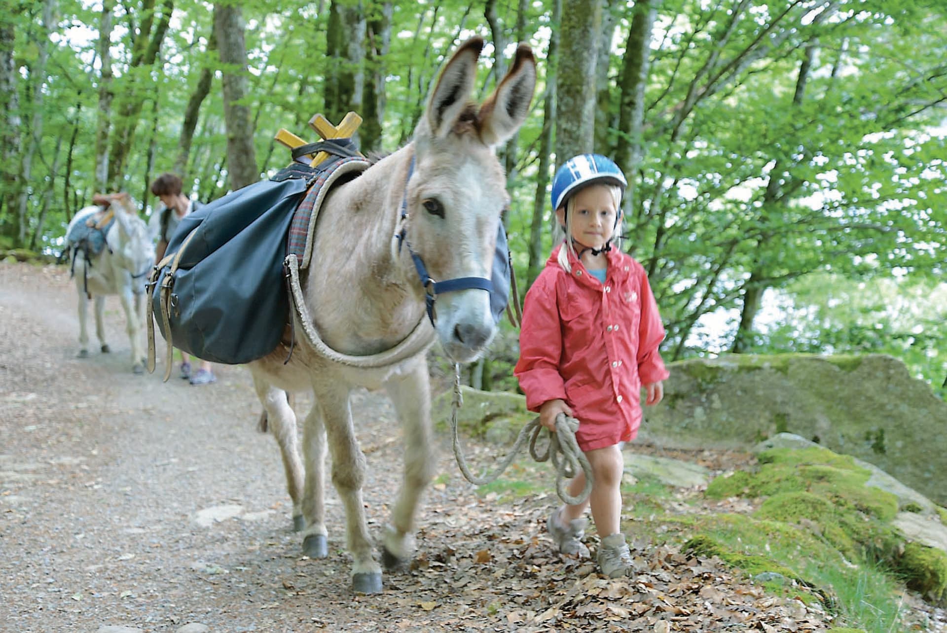 Ferme pédagogique Les Anes de Vassivière_1