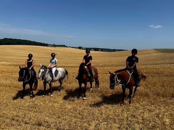 balade dans les blés
