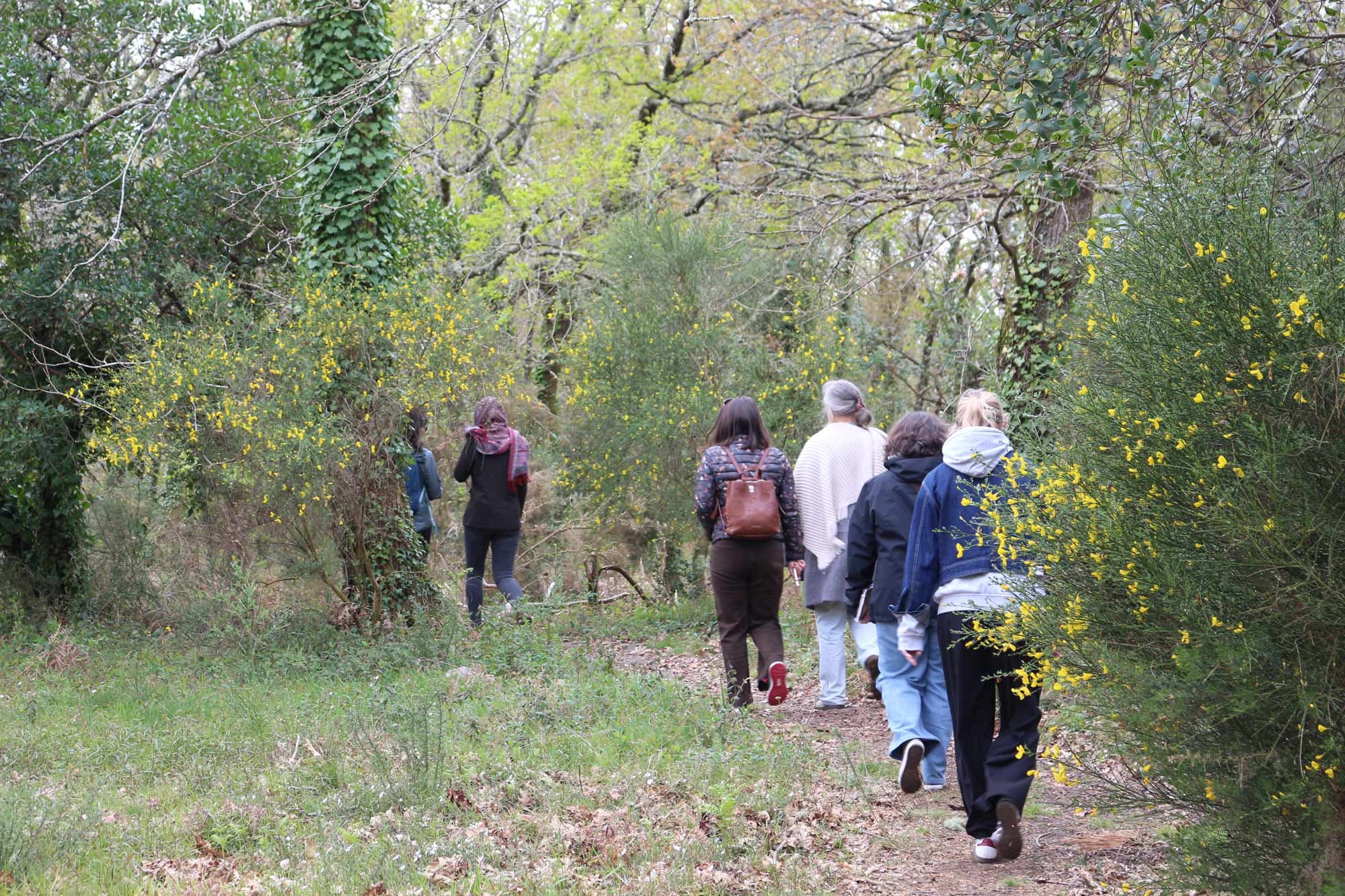 balade-sensorielle-marche-2