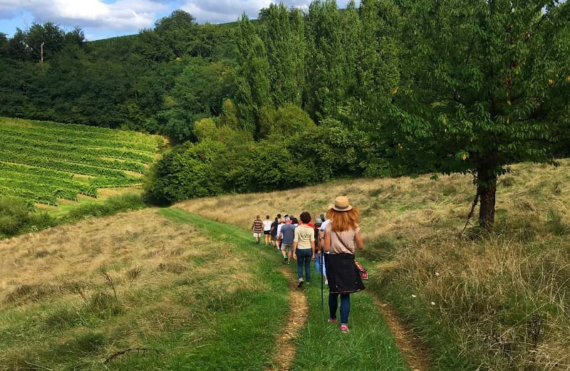 balade vigneronne