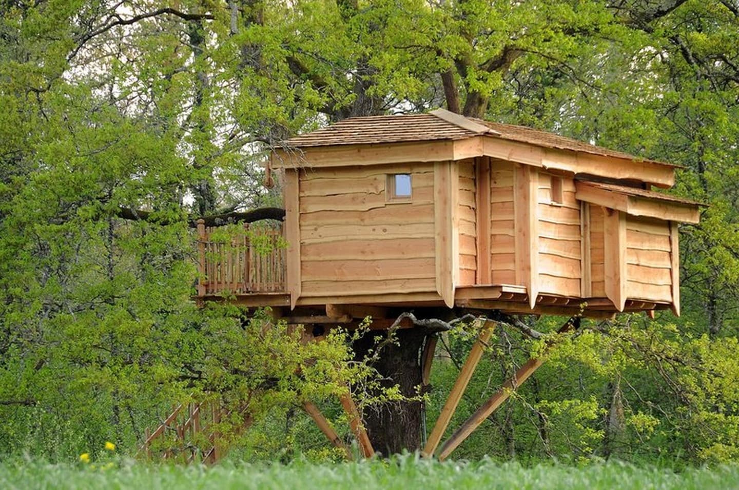 Cabane du vieux chêne
