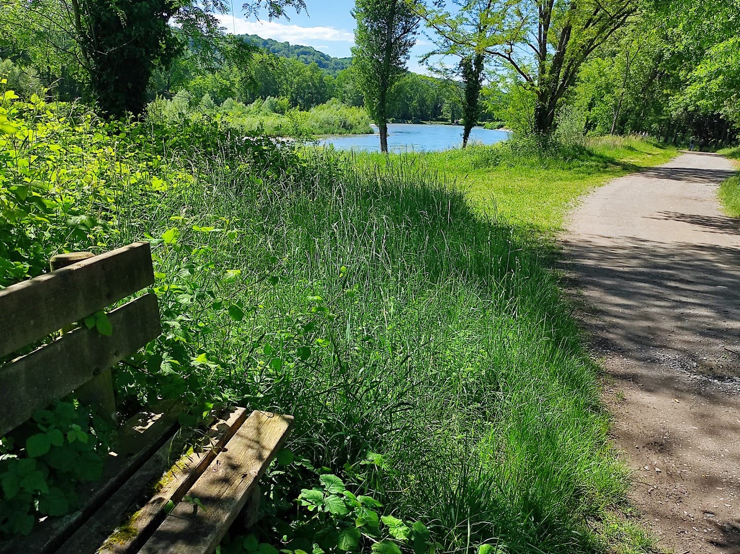 Lacs de Laroin - Laroin - bancs sur le parcours