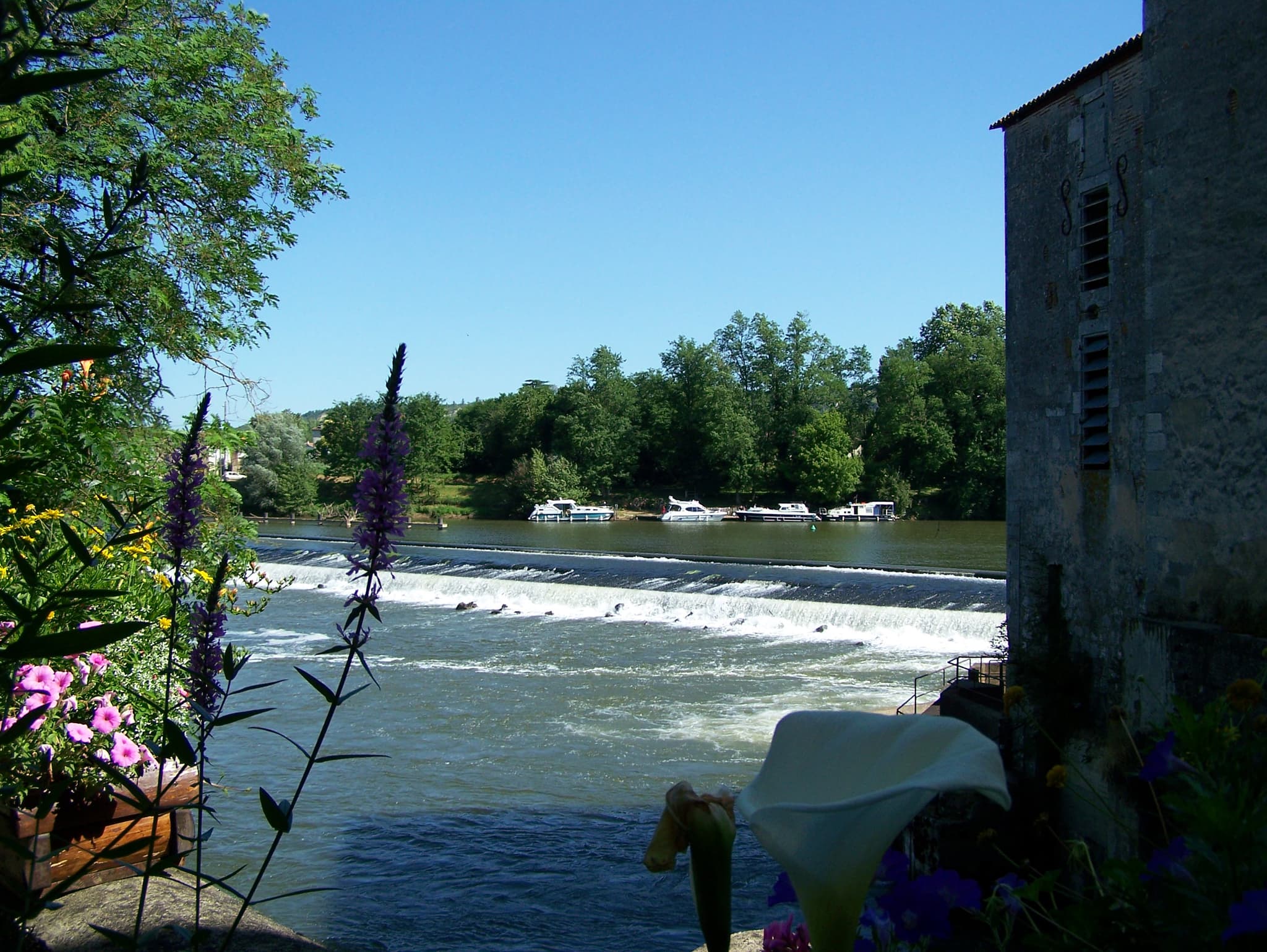 Aiguillon