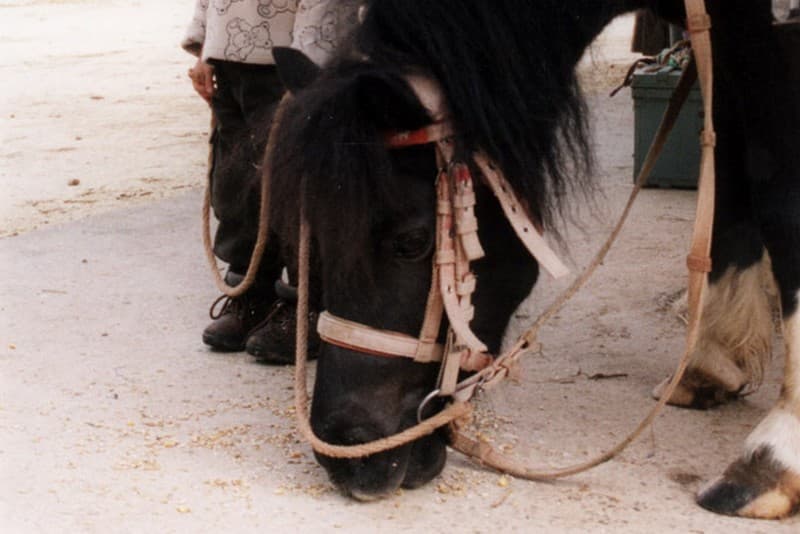 Etrier de Vitrac