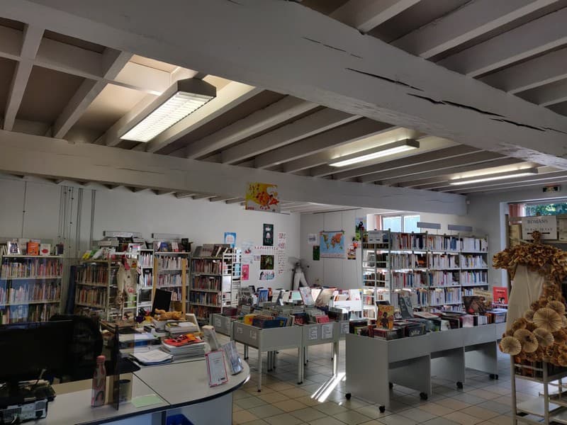 bibliotheque_lavardac2