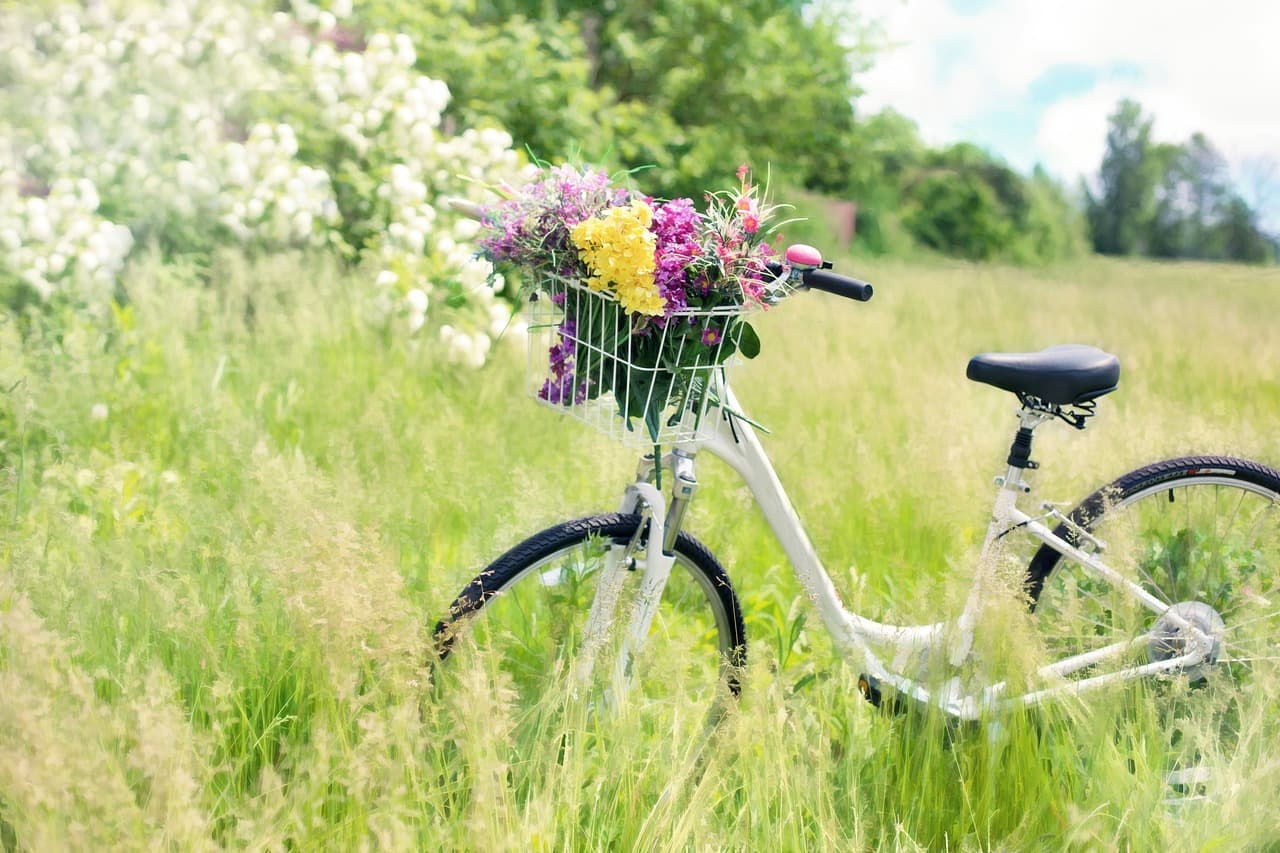 bicycle-788733_1280