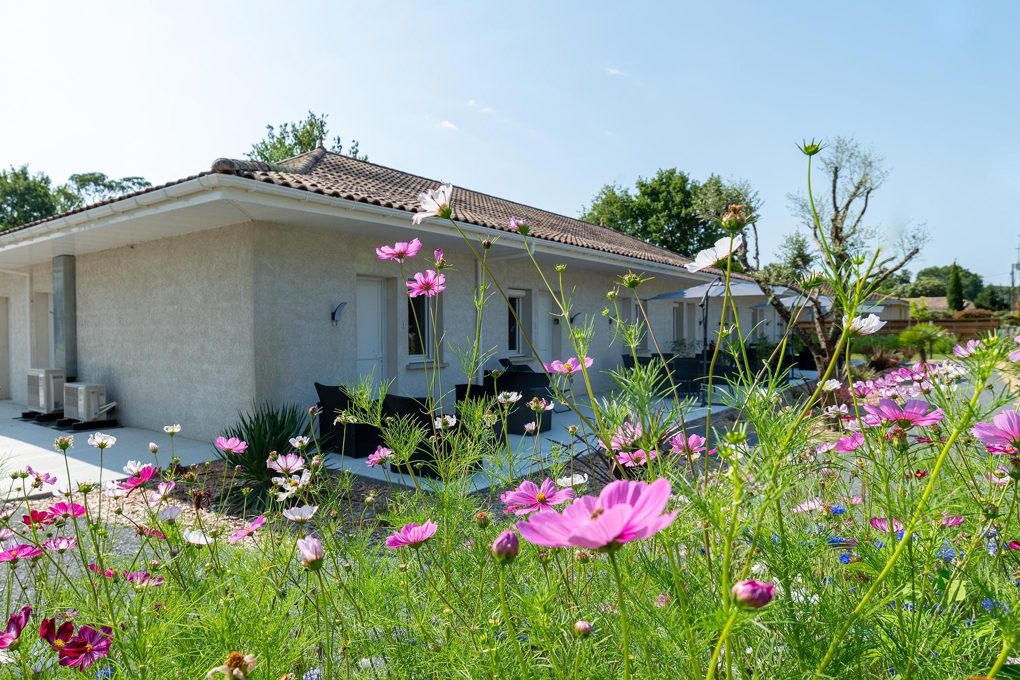 bnb_image_225