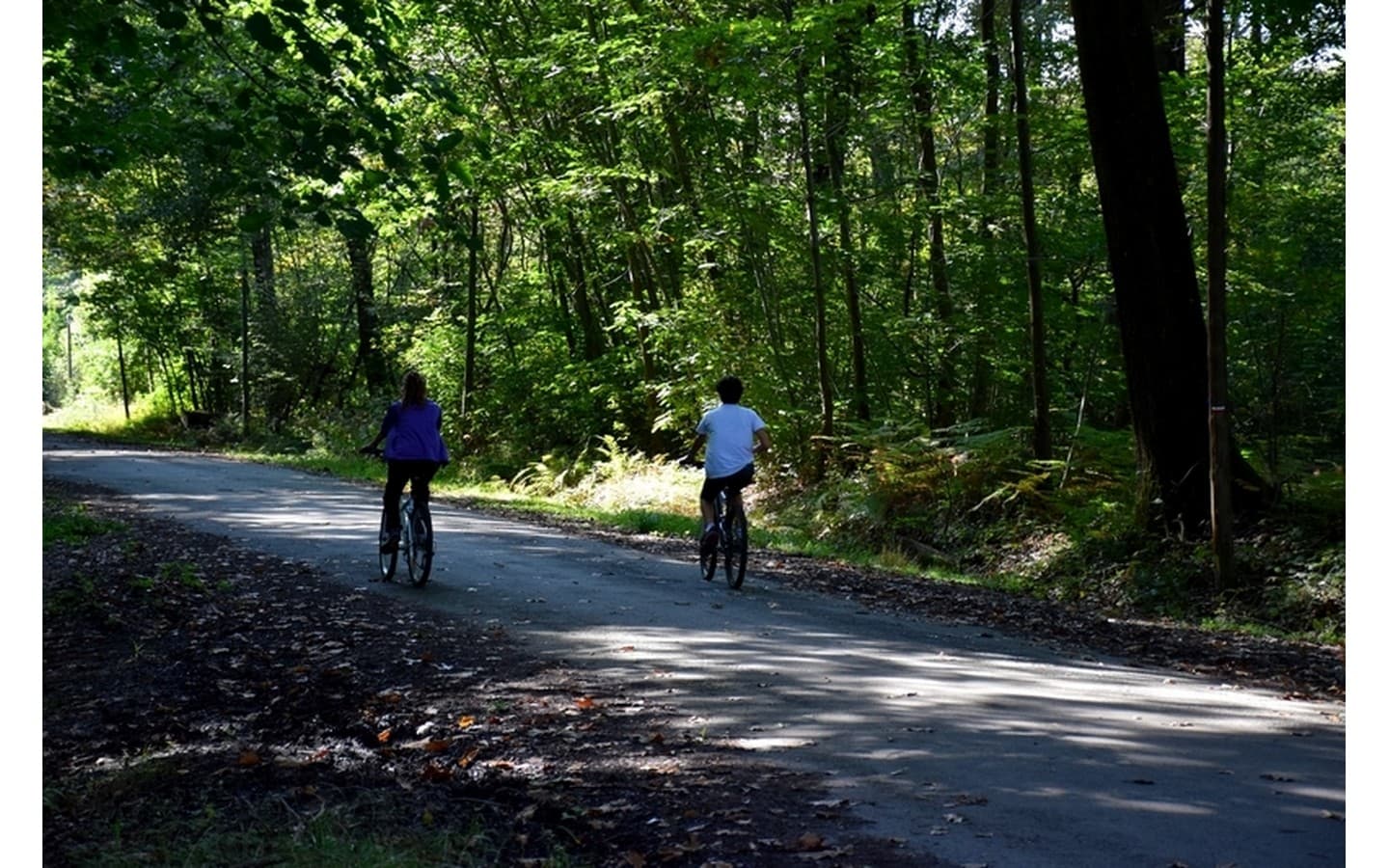 Forêt domaniale de Bastard - Pau - Promeneurs à vélo