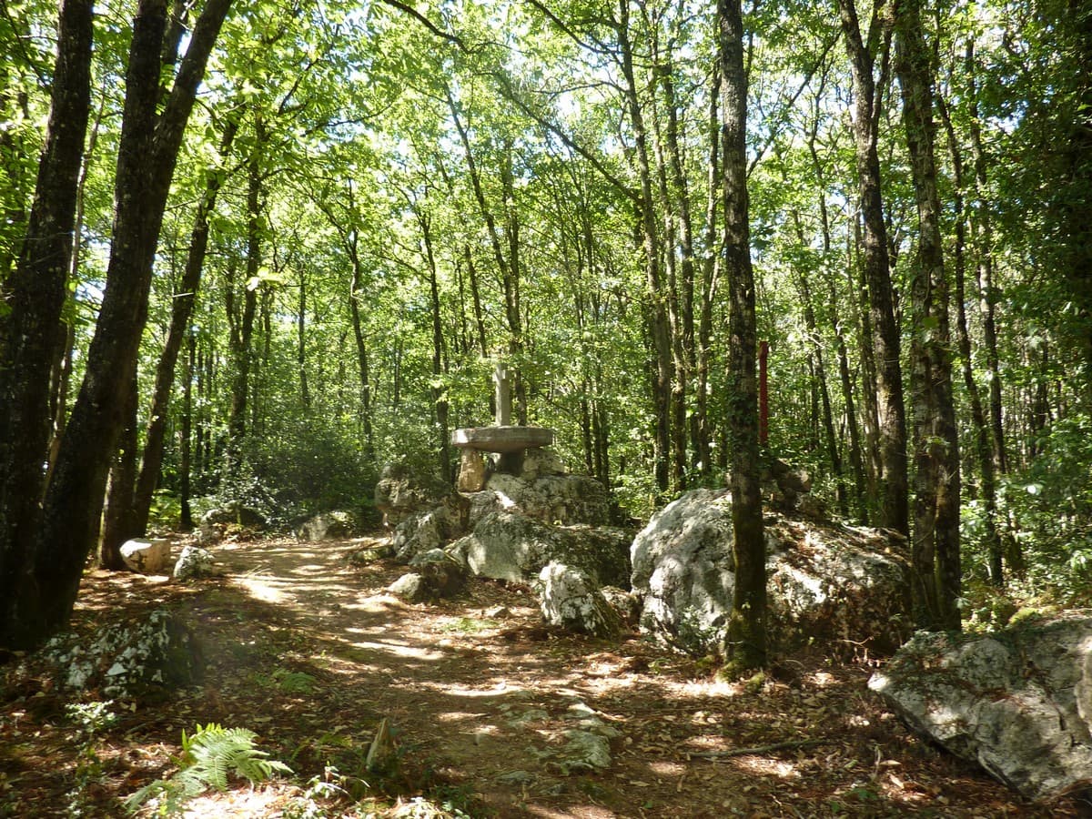 bois-des-chevres