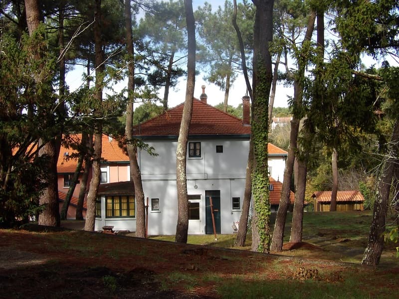 bois st vincent