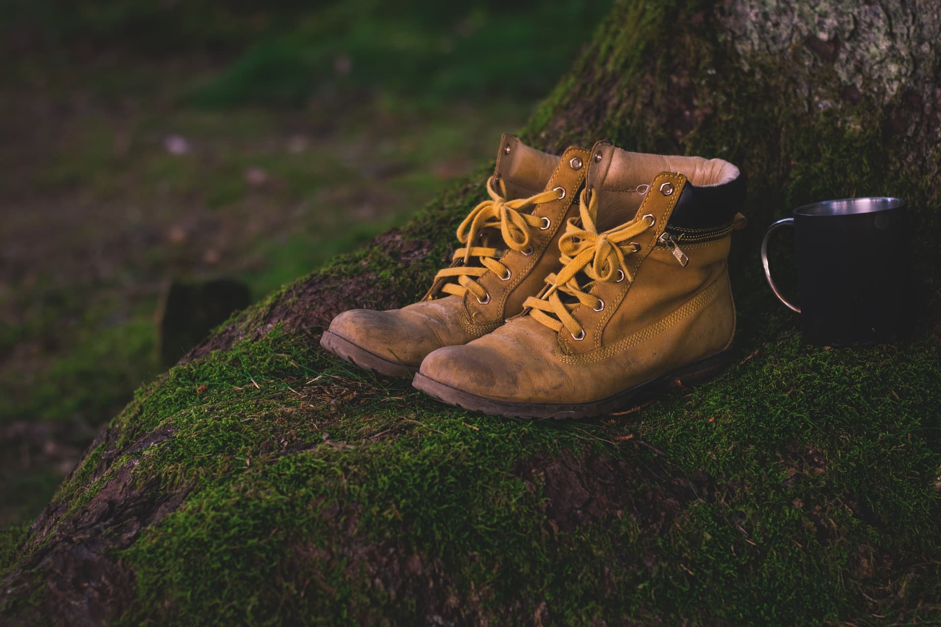 boots-g0fdfadd4e_1920
