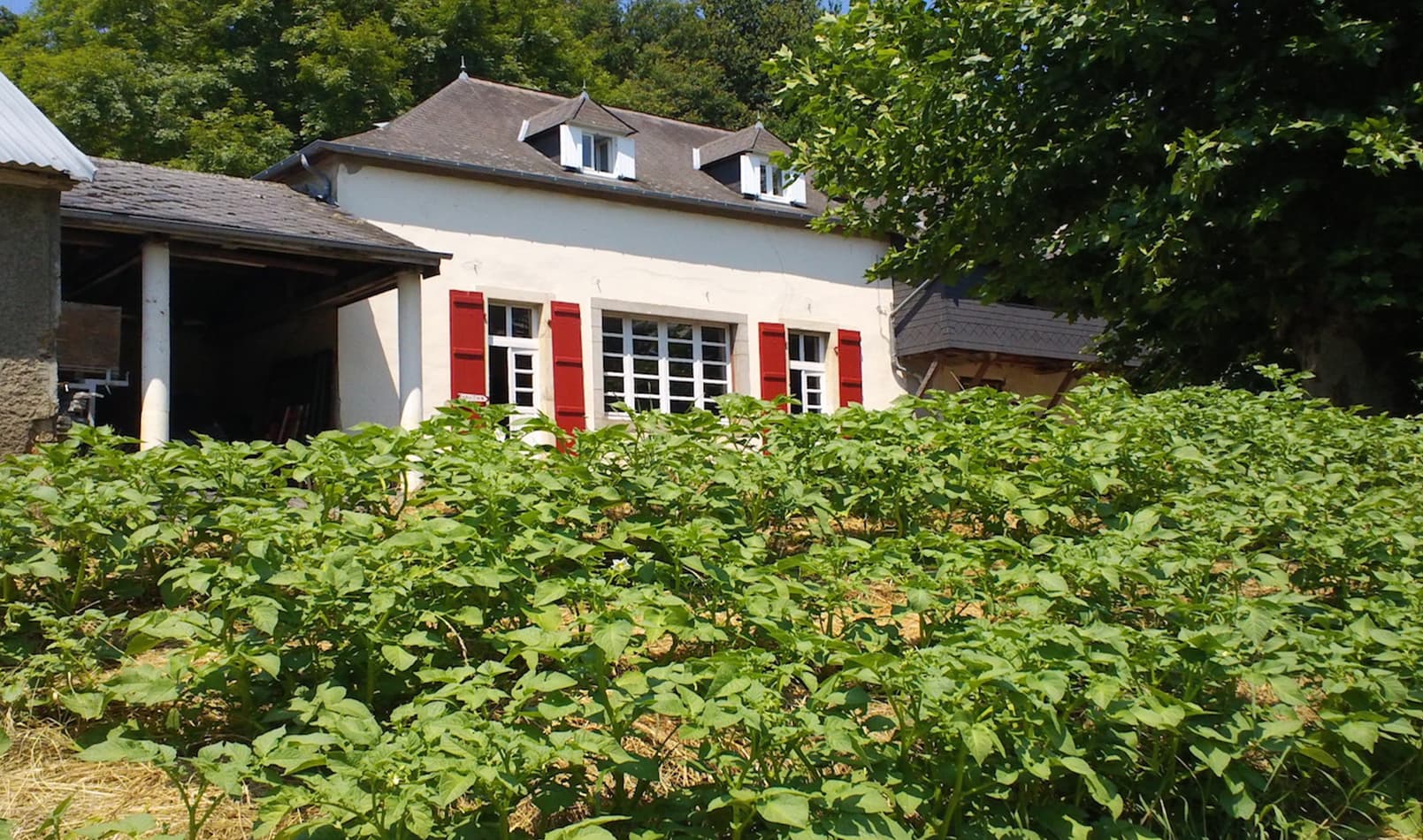 boulangerie_barcus