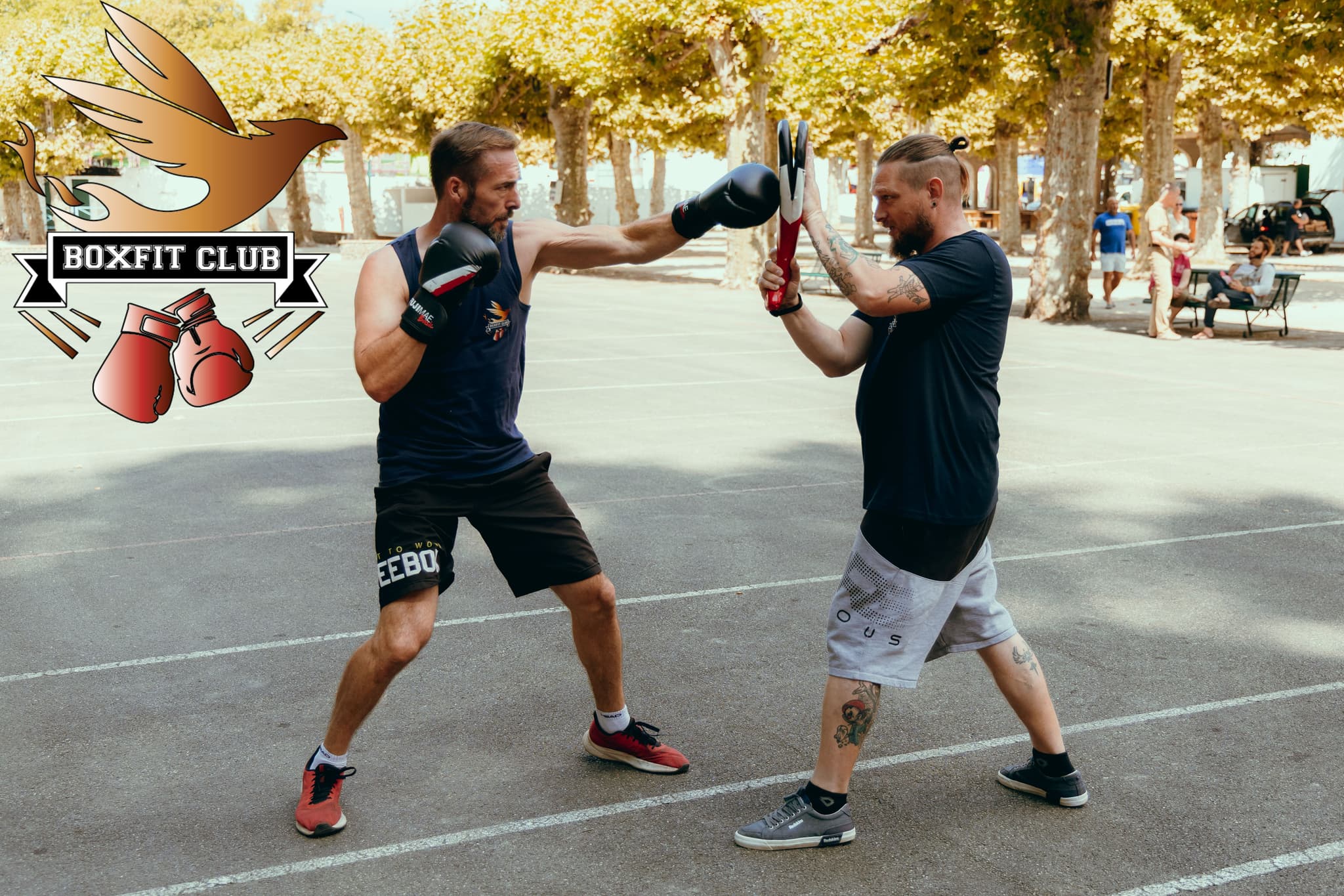 BoxFit Club