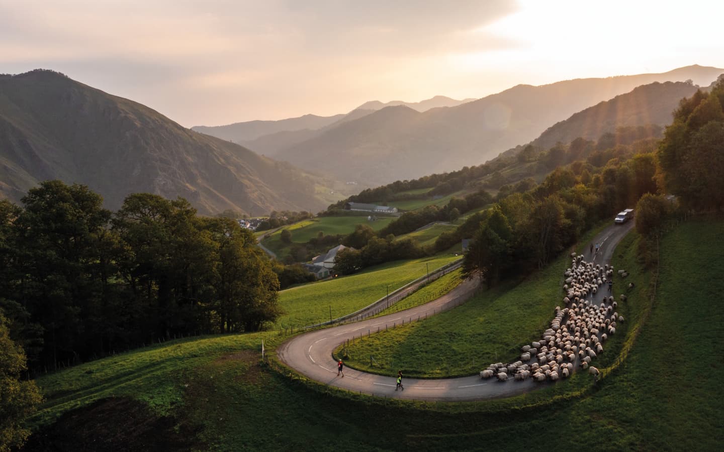 Brebis route