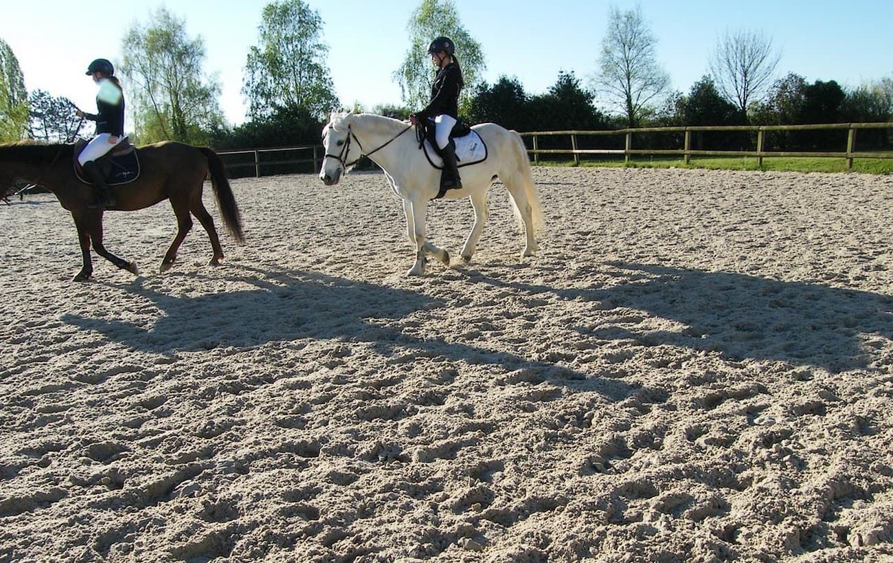 bressuire-centre-equestre