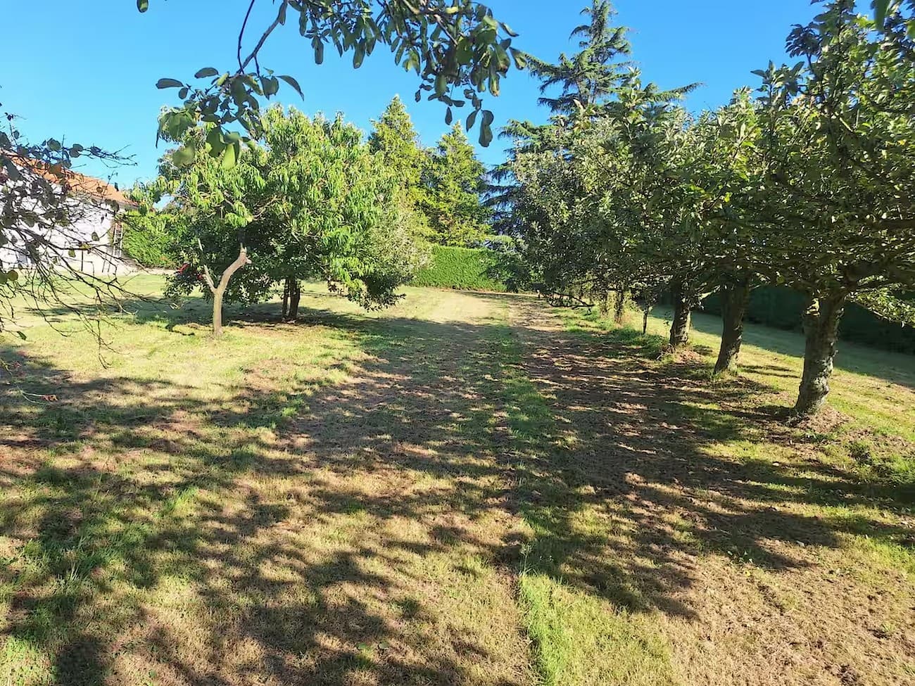 bressuire-gite-de-jouvence-exterieur