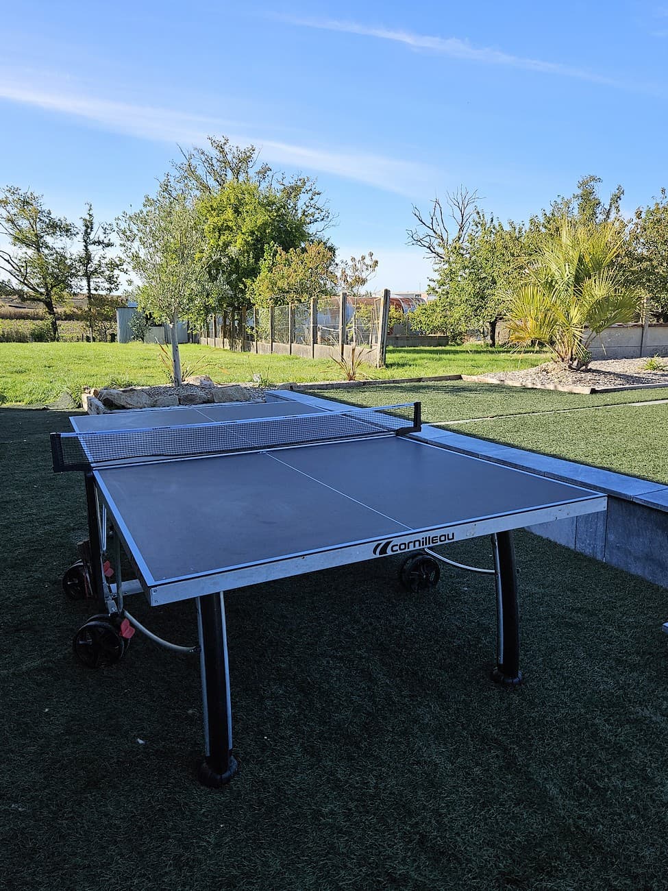 bressuire-gite-de-jouvence-ping-pong