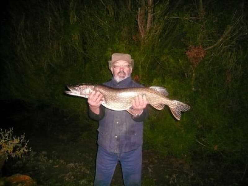 brochet