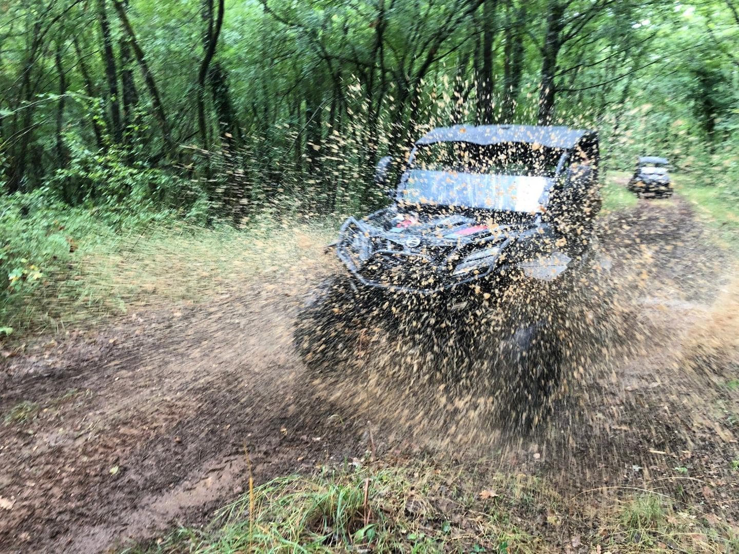buggy 4
