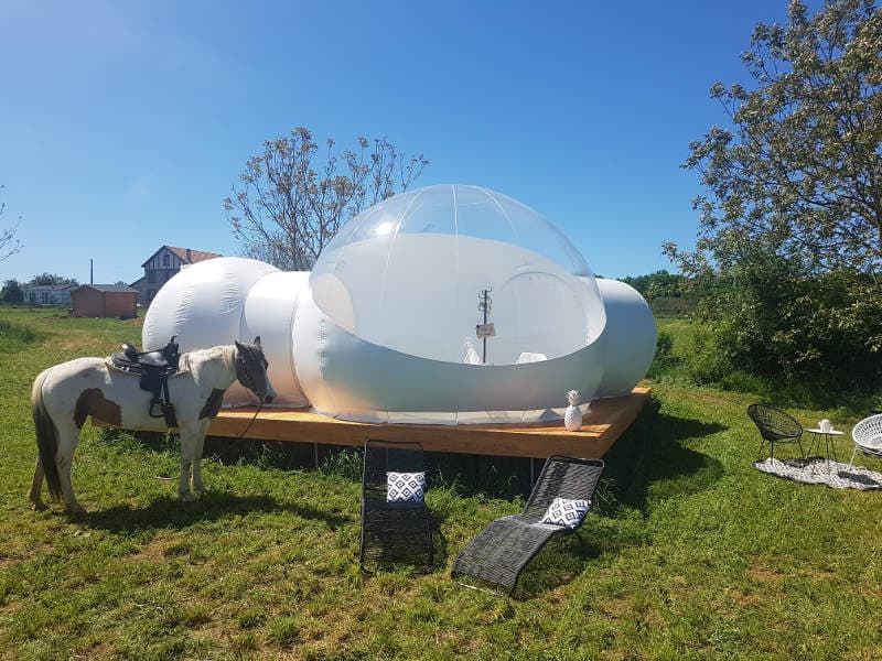 bulle-4