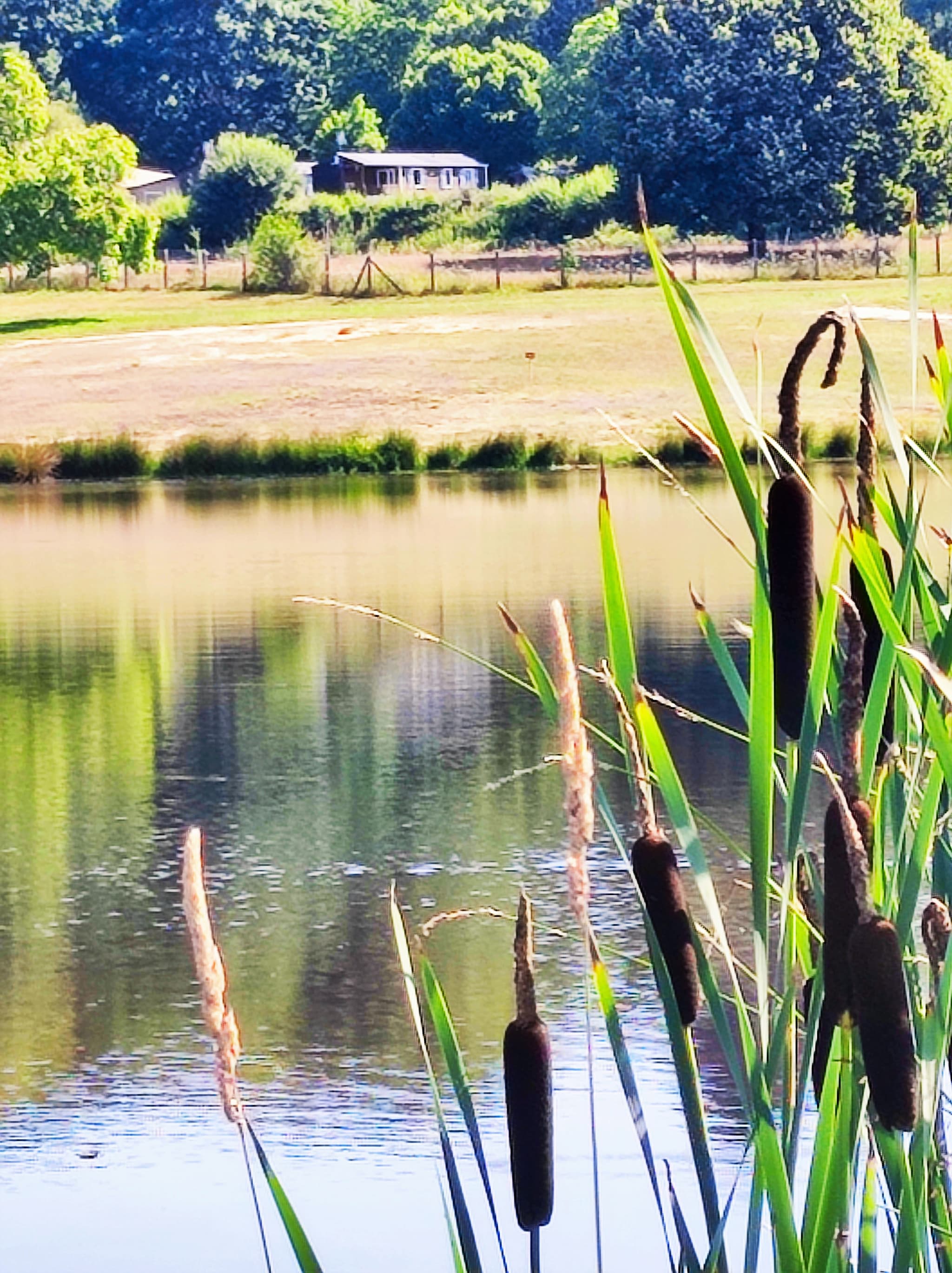Bungalows avec vue sur le Plan d'eau