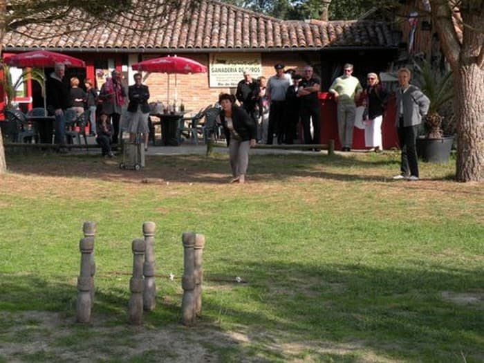 Ganadéria de buros