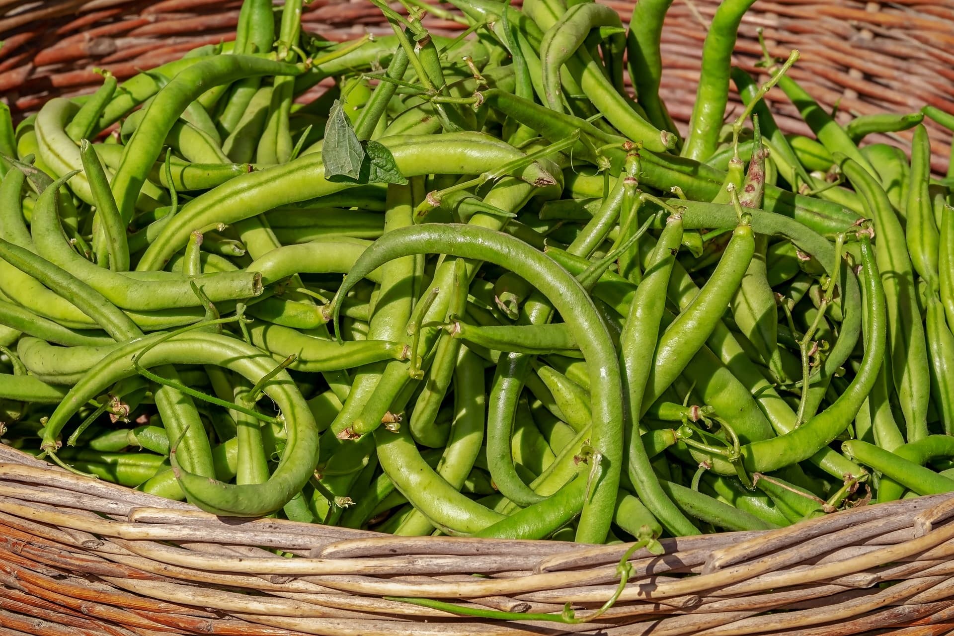 Légumes