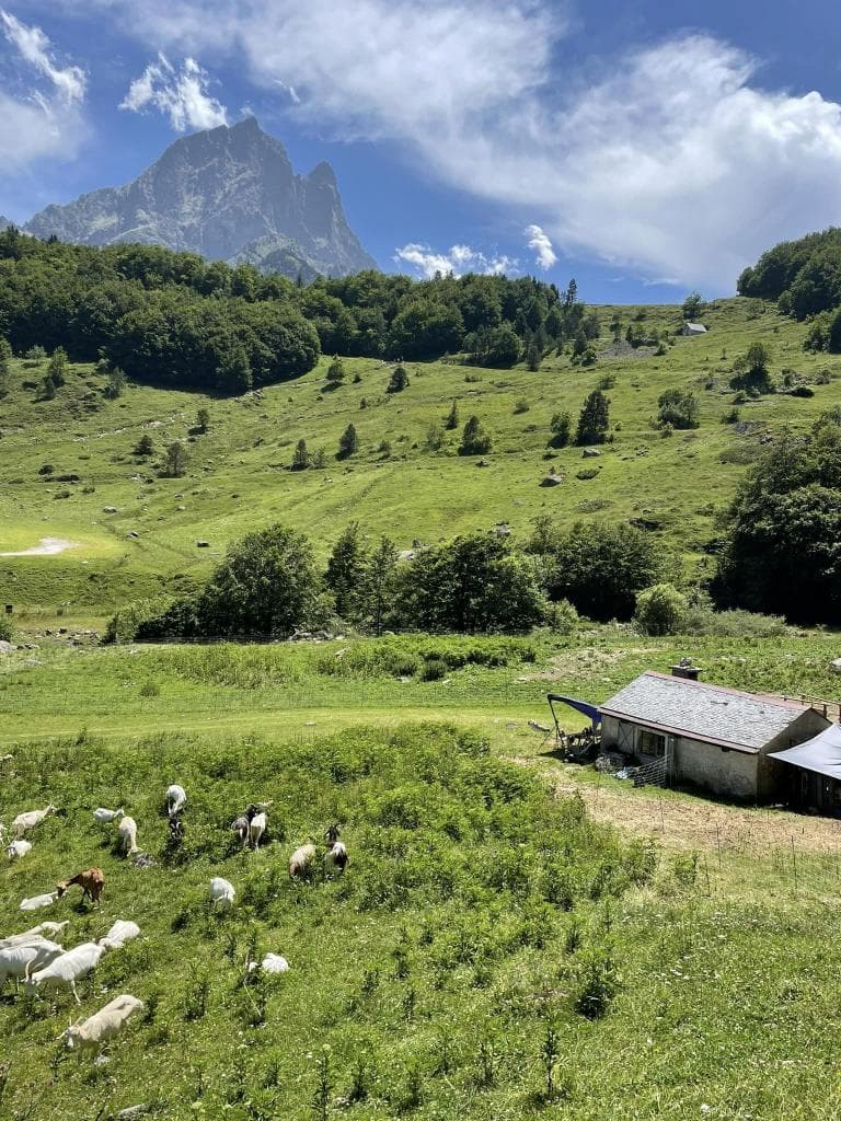 cabane estive
