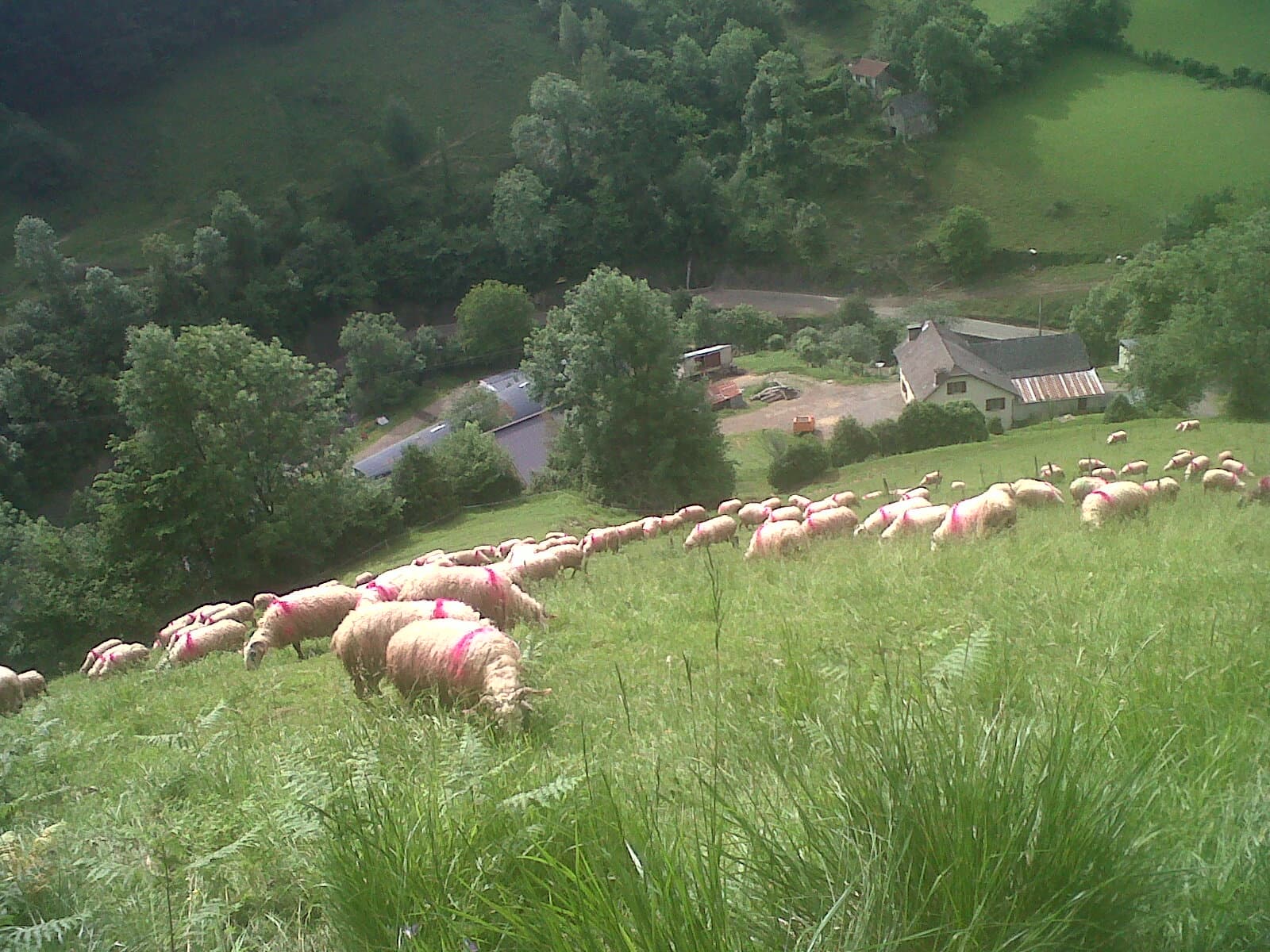 Fromages