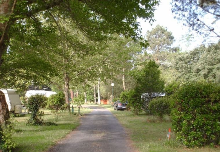 camping Bel Air 3