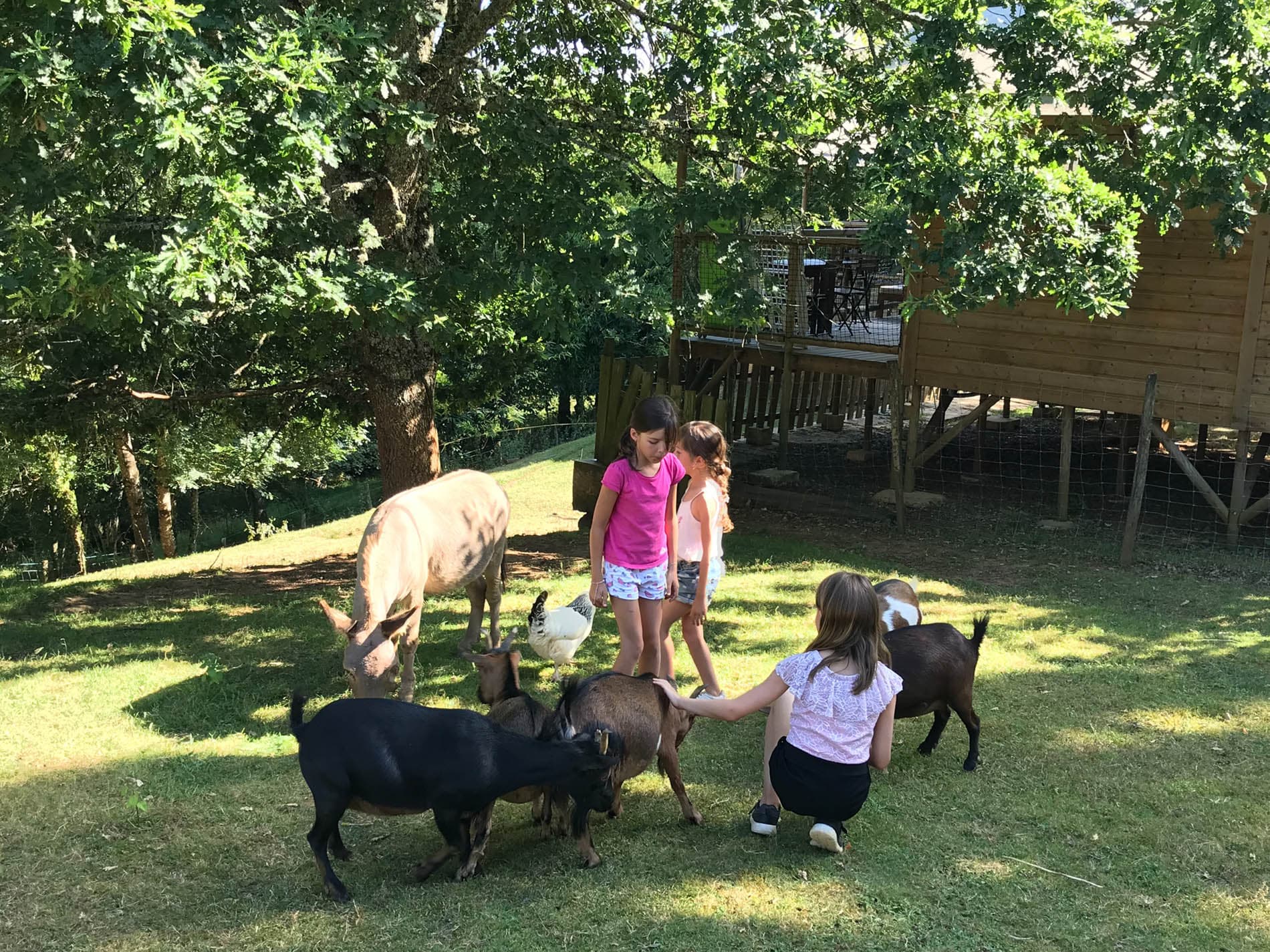 camping dordogne mini ferme 2
