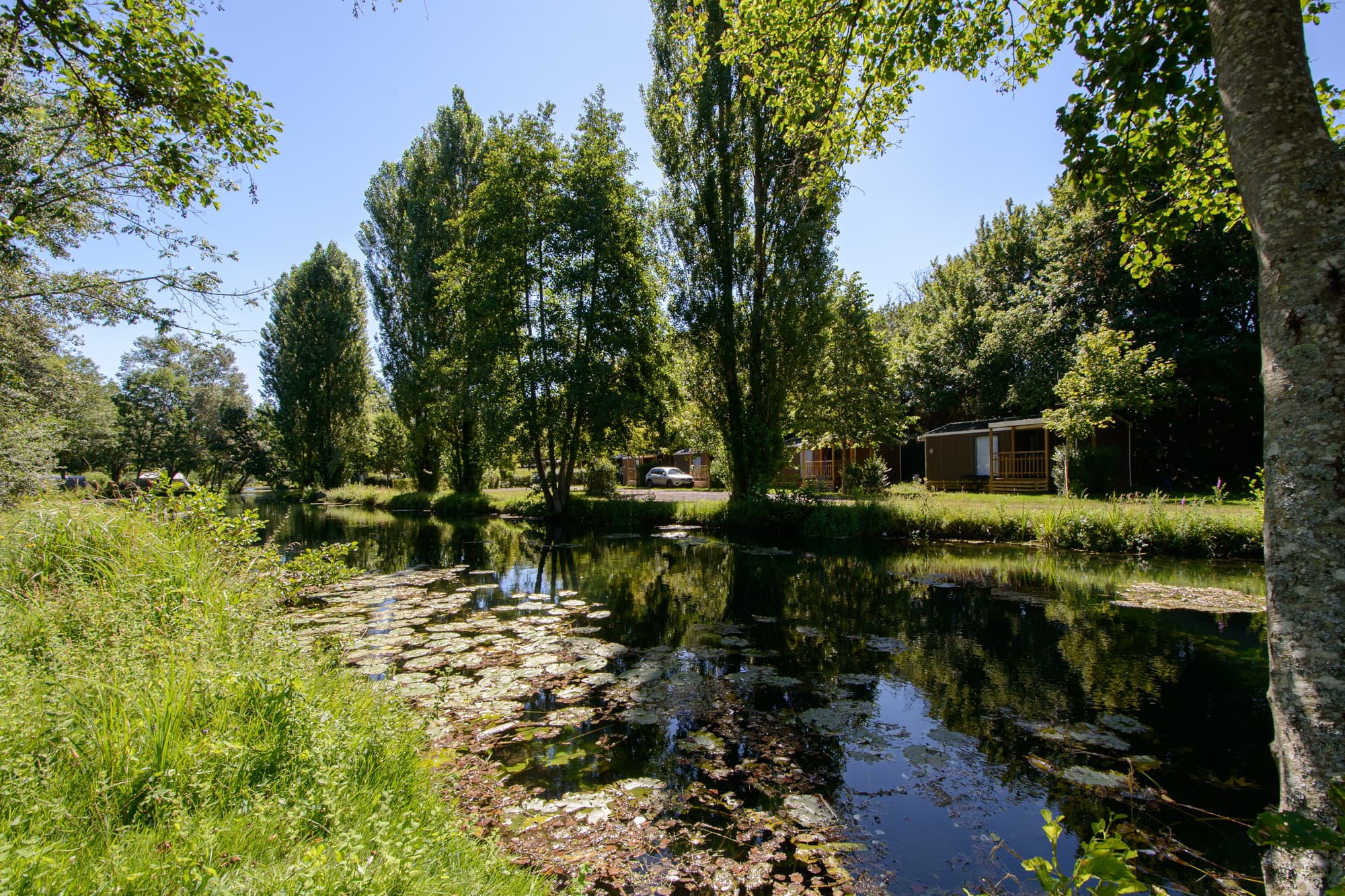 Camping La Rivière_7
