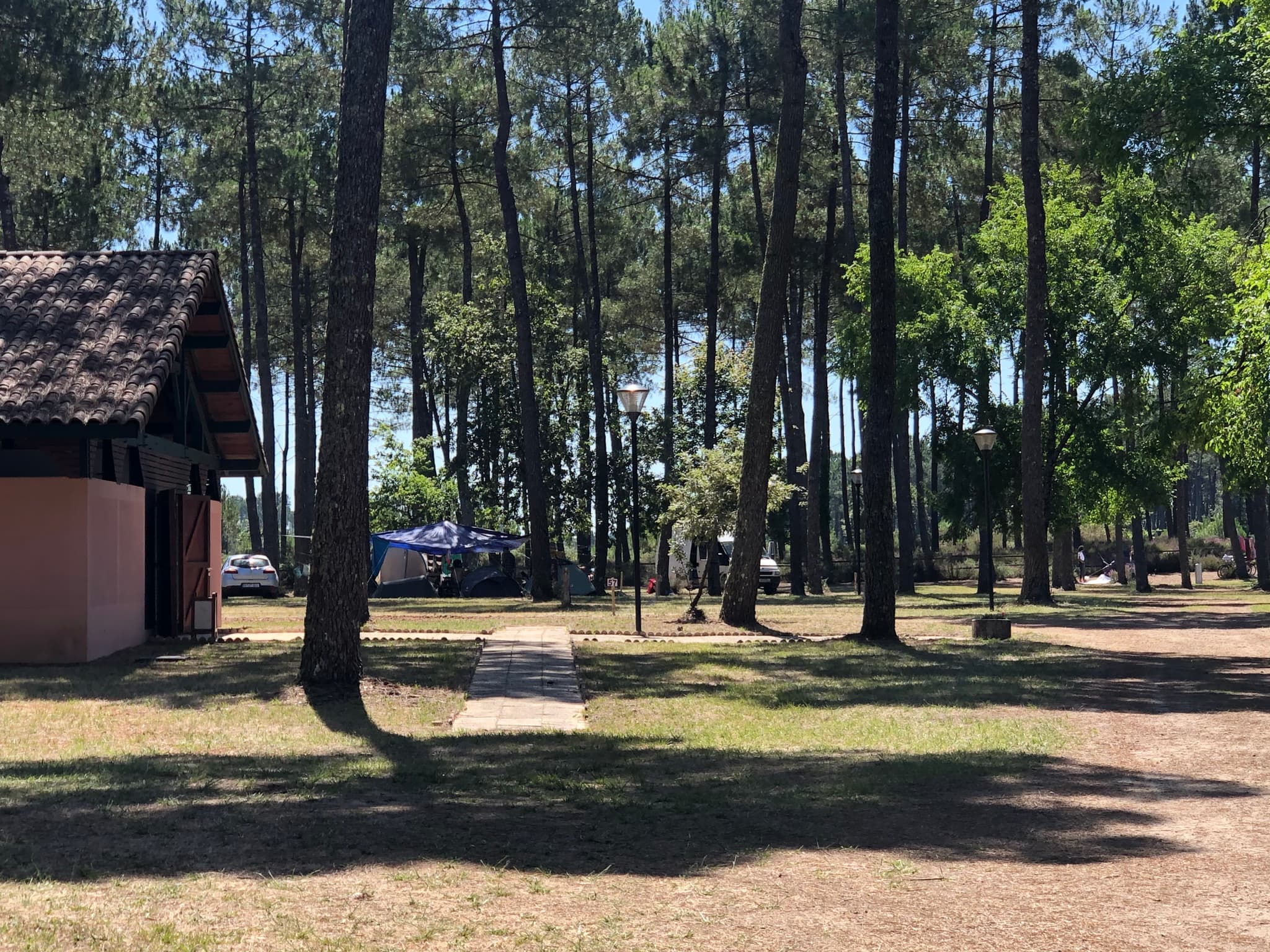 camping pissos1