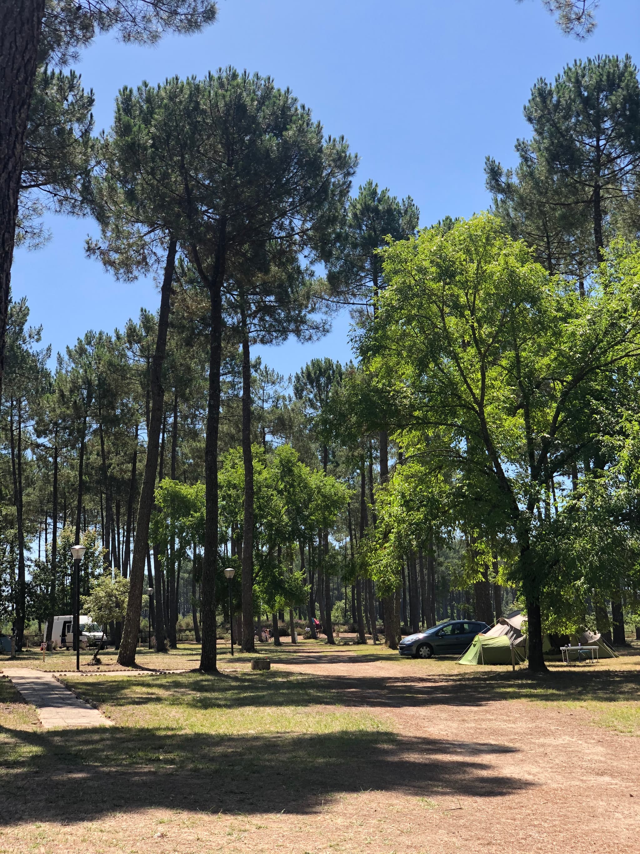 camping pissos2
