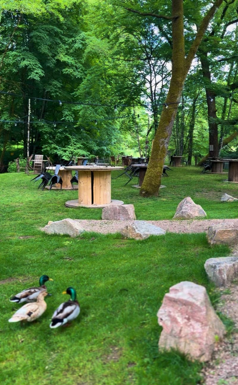 canards et terrasse
