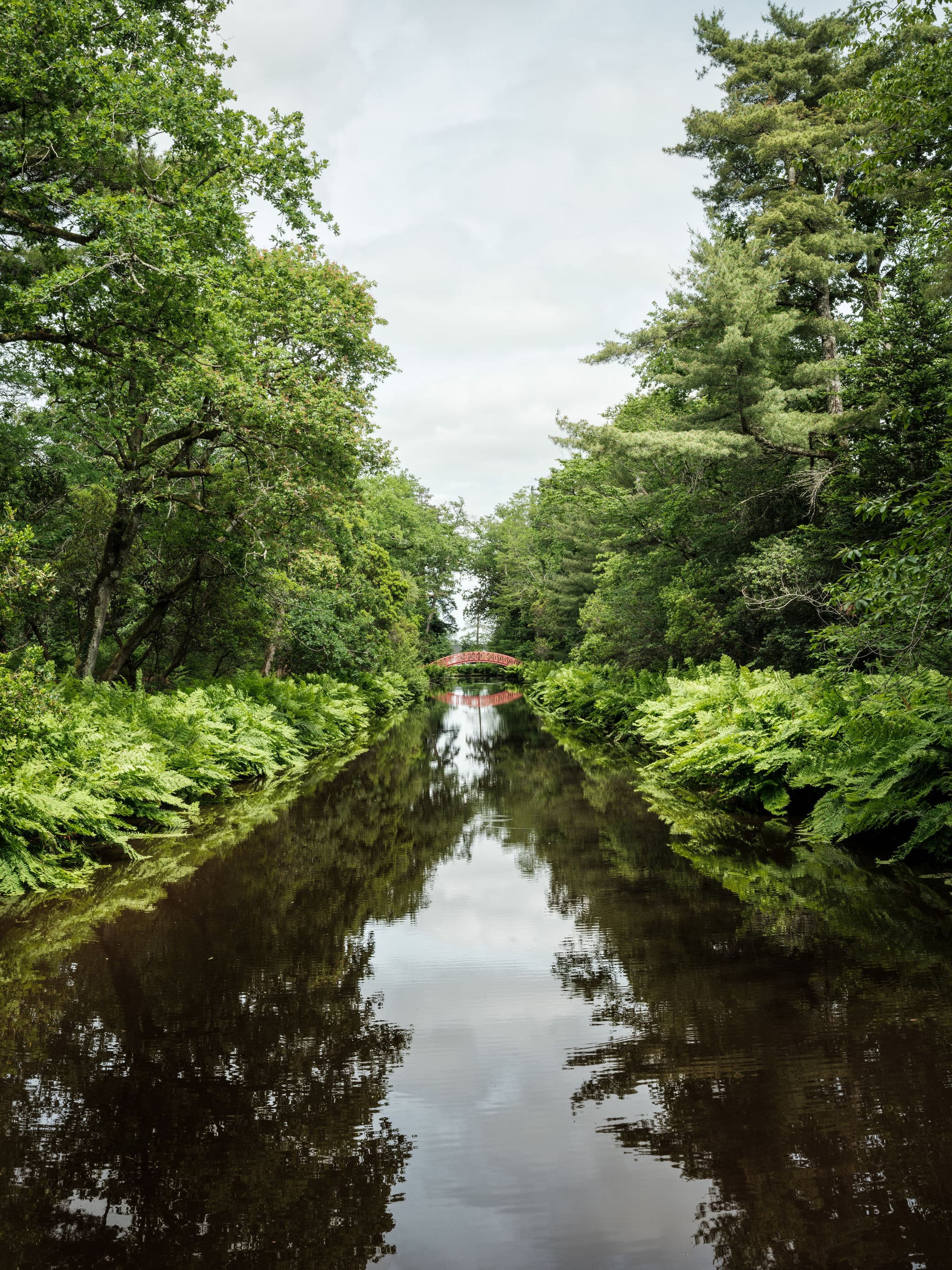 cantemerle_©bricebraastad_240528_3011
