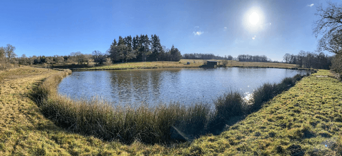 Carpodrome du Rochelot - Saint-Brice-sur-Vienne