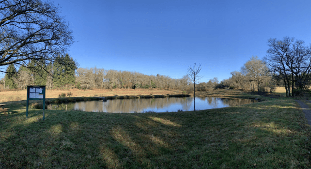 Carpodrome du Rochelot - Saint-Brice-sur-Vienne