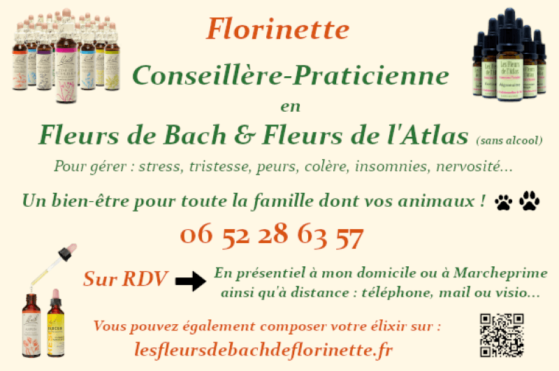 carte de visite