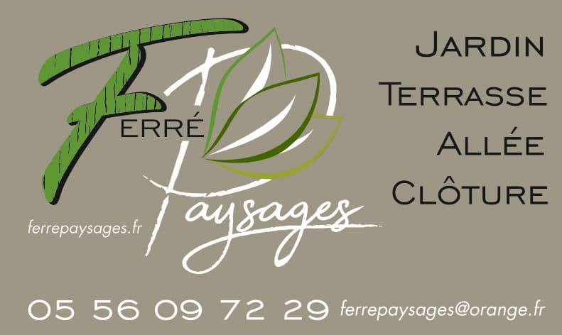 carte visite - Nicolas Ferre