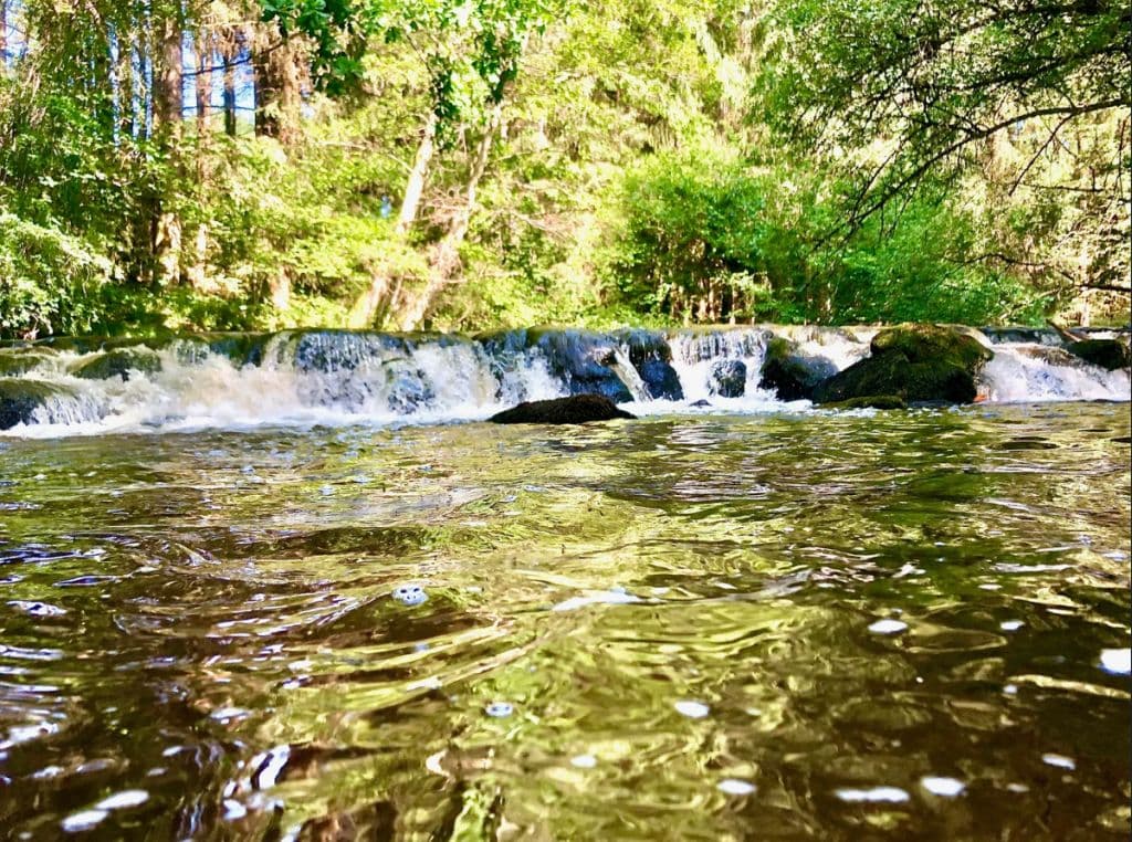 cascade