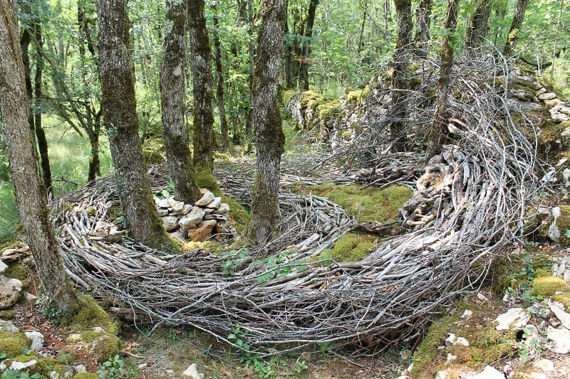 causse art