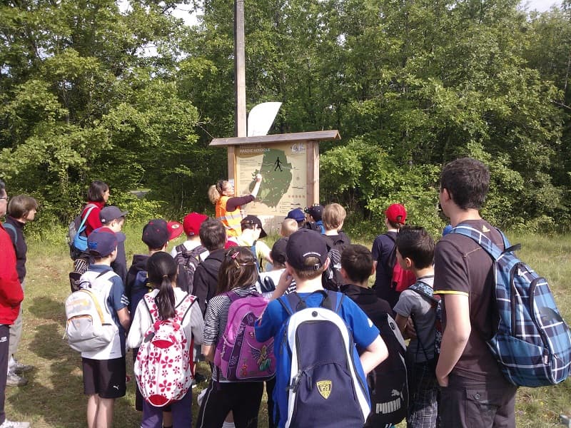 causse groupe