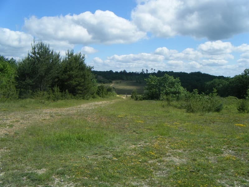 causse