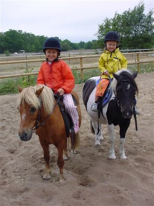 cavalerie poneys