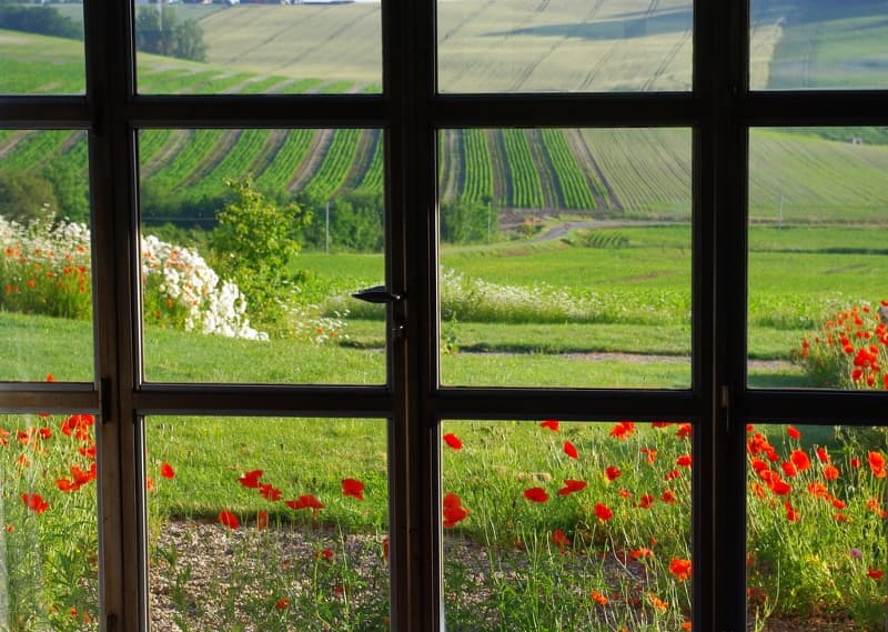 ccc_hlo_hameaucoquelicots_bleuets_vueextérieur