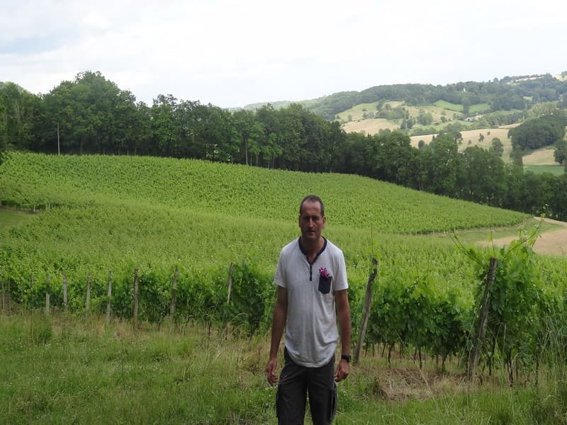 ccccp_deg_Labat_vignes