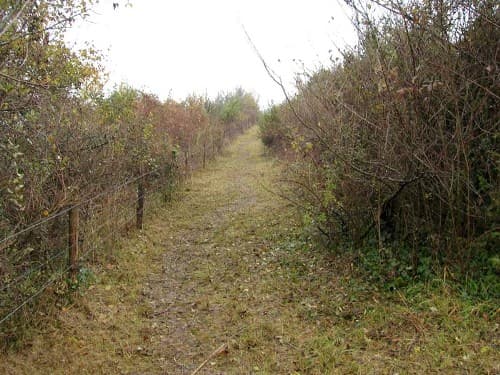 cclt_pna_Pechpastur