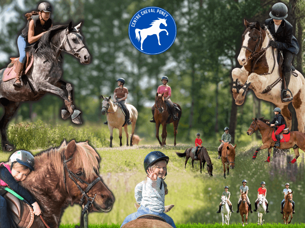 centre-cheval-poney