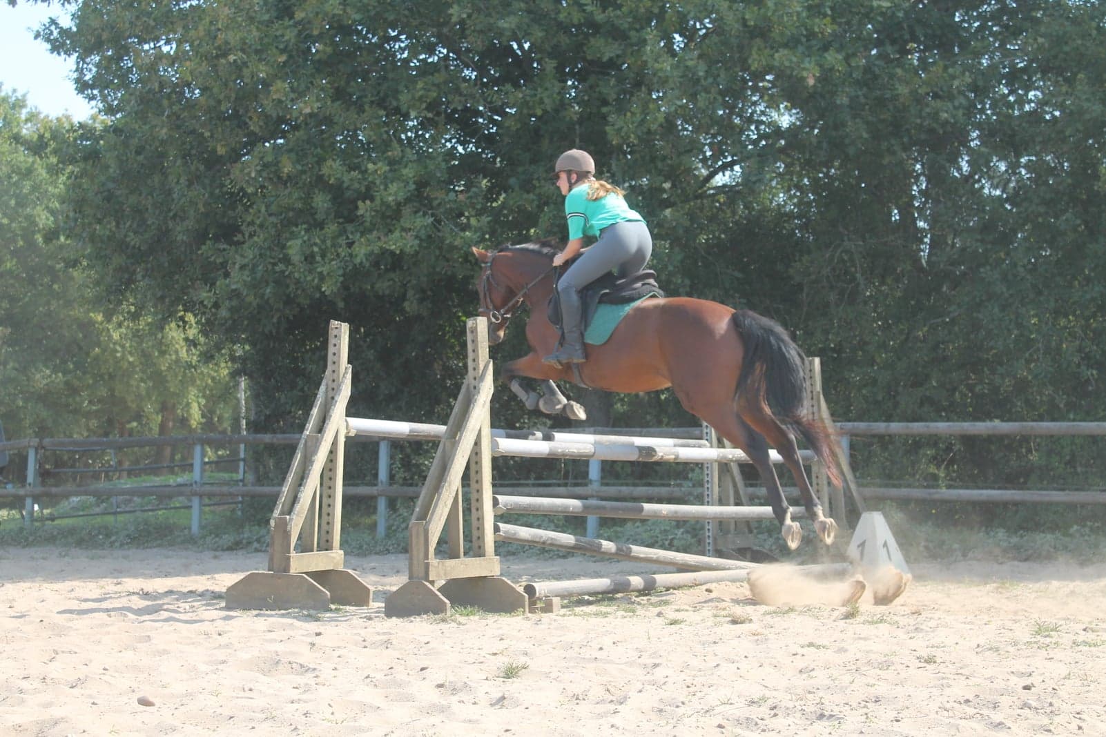 centre-equestre-de-st-laurent2